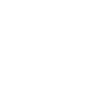 Nineteen